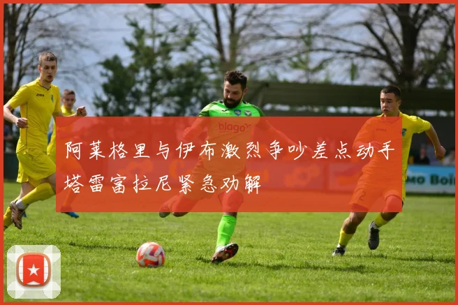 阿莱格里与伊布激烈争吵差点动手塔雷富拉尼紧急劝解
